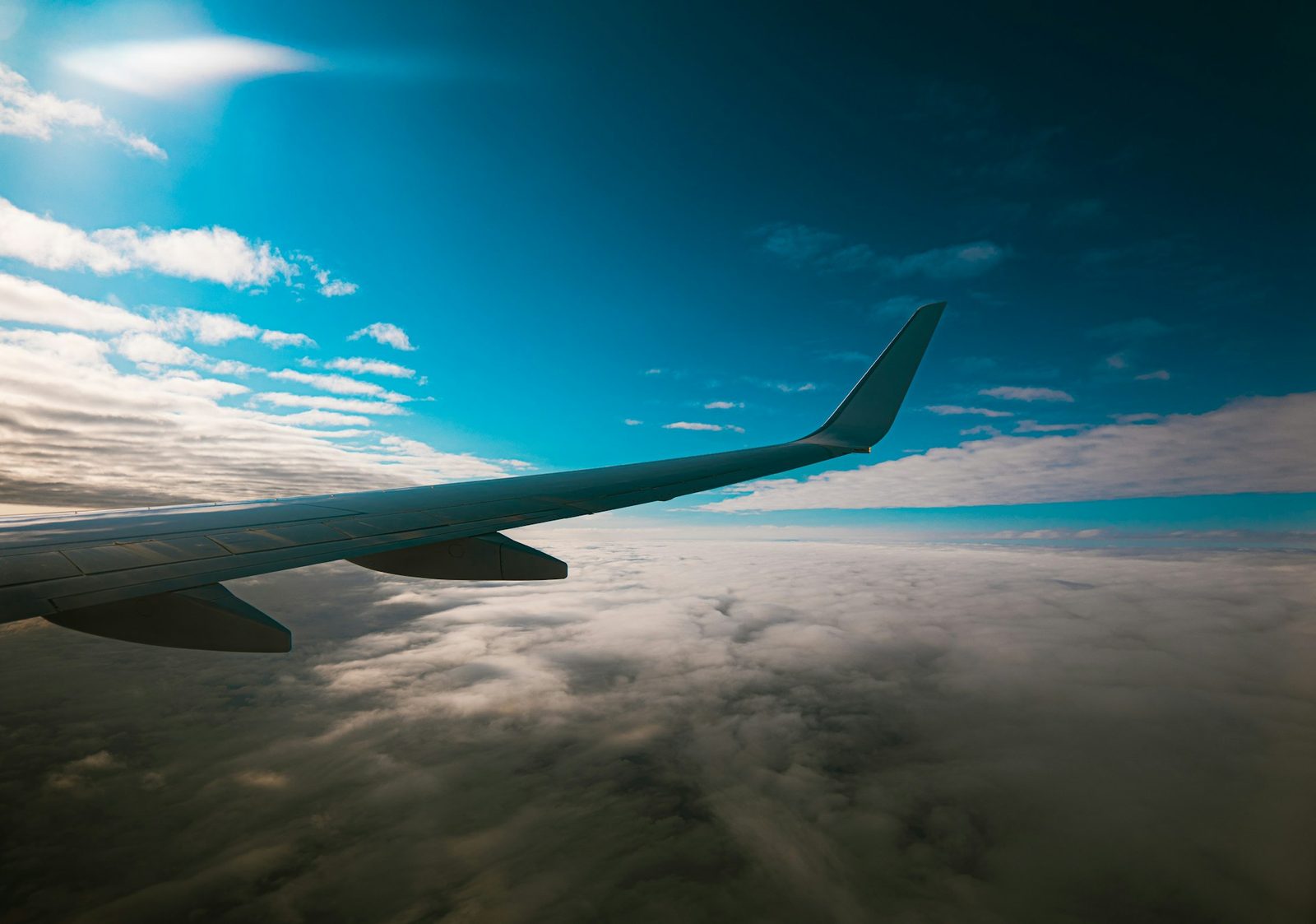 Flyvinge over skyene pa dagtid